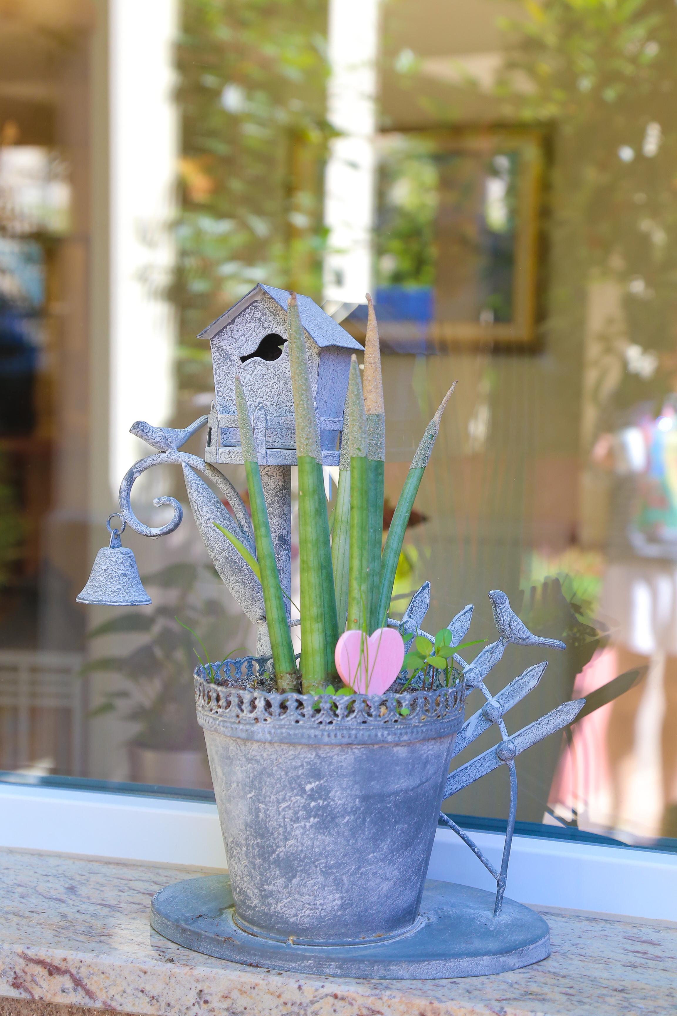 Hotel Boutique Asteria