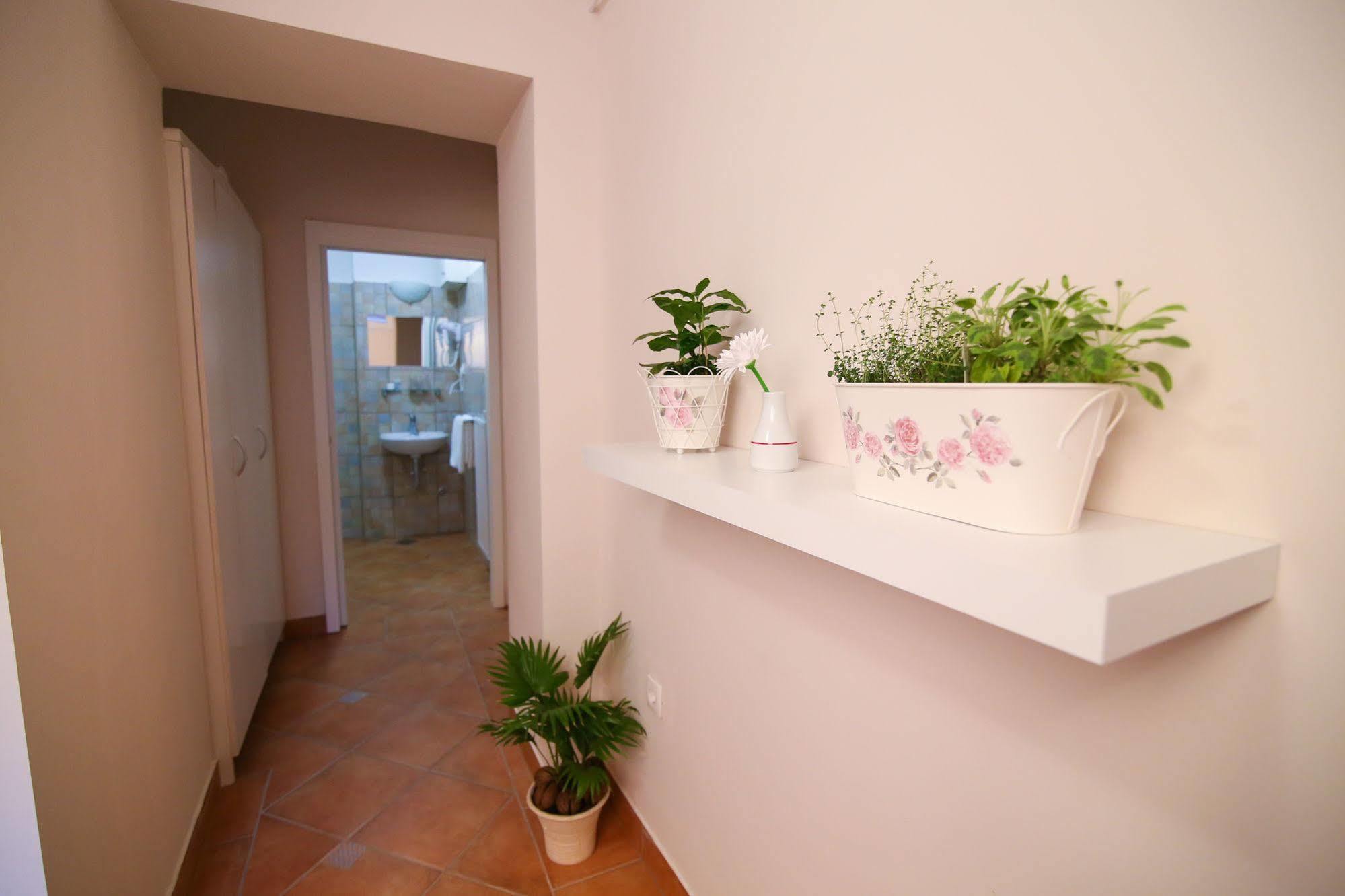 Boutique Asteria Hotel 3*